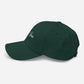 Born Again Dad Hat - Born Again Collection