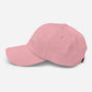 Born Again Dad Hat - Born Again Collection
