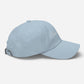 Born Again Dad Hat - Born Again Collection