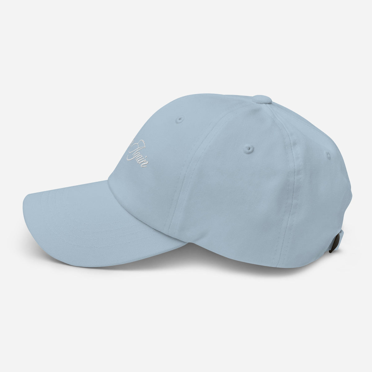 Born Again Dad Hat - Born Again Collection